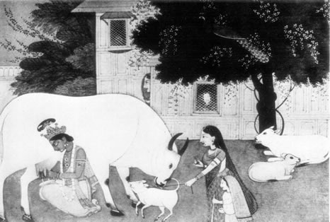Images from the Bhagavad-Gita, Krishna milking, Image 38 of 40  -  35 kB