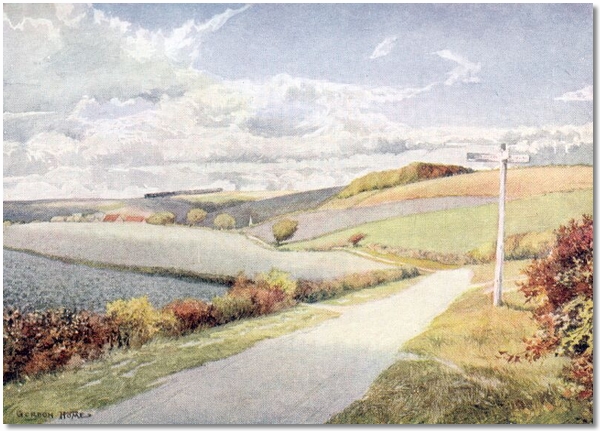 a winding road [#image.long_description#]